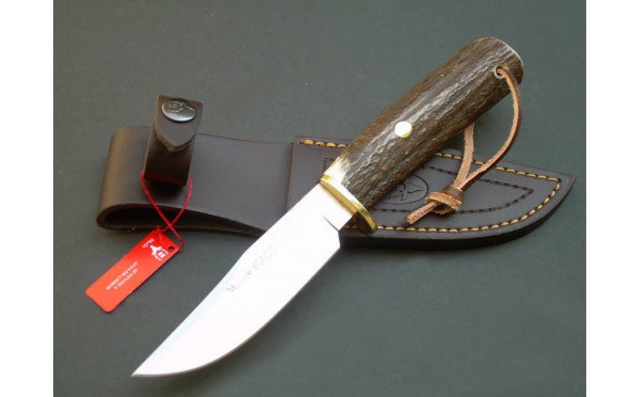 Нож "Braco" (кл.сатин, гарда, рук.- рог)