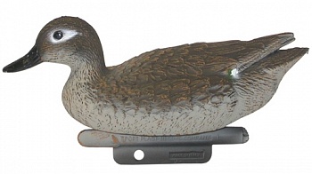 Чучело утка "Чирок-трескунок" (серия делюкс)